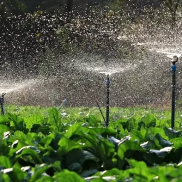 irrigation-system_sarirpey-e1696613135351-495x400